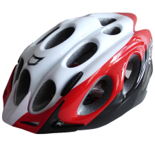 Phasellus vel scelerisque