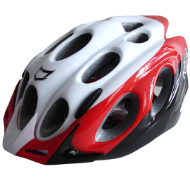 Phasellus vel scelerisque